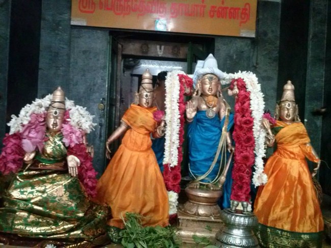 Aminjikarai Sri Prasanna Varadaraja Perumal Temple Navarathiri Utsavam13