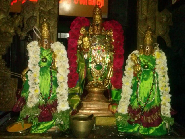 Aminjikarai Sri Prasanna Varadaraja Perumal Temple Navarathiri Utsavam16