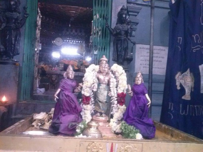 Aminjikarai Sri Prasanna Varadaraja Perumal Temple Navarathiri Utsavam22