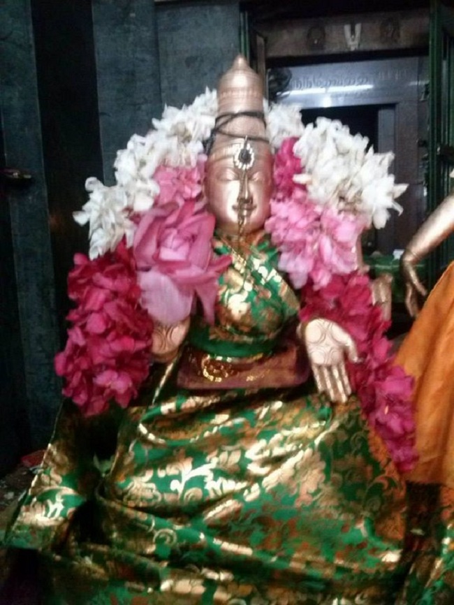 Aminjikarai Sri Prasanna Varadaraja Perumal Temple Navarathiri Utsavam28