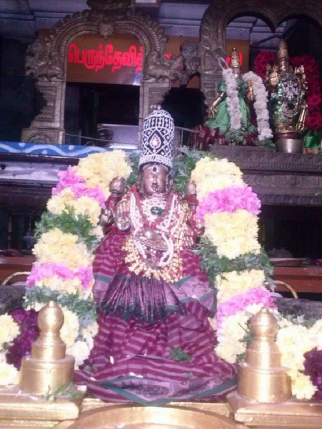 Aminjikarai Sri Prasanna Varadaraja Perumal Temple Navarathiri Utsavam8