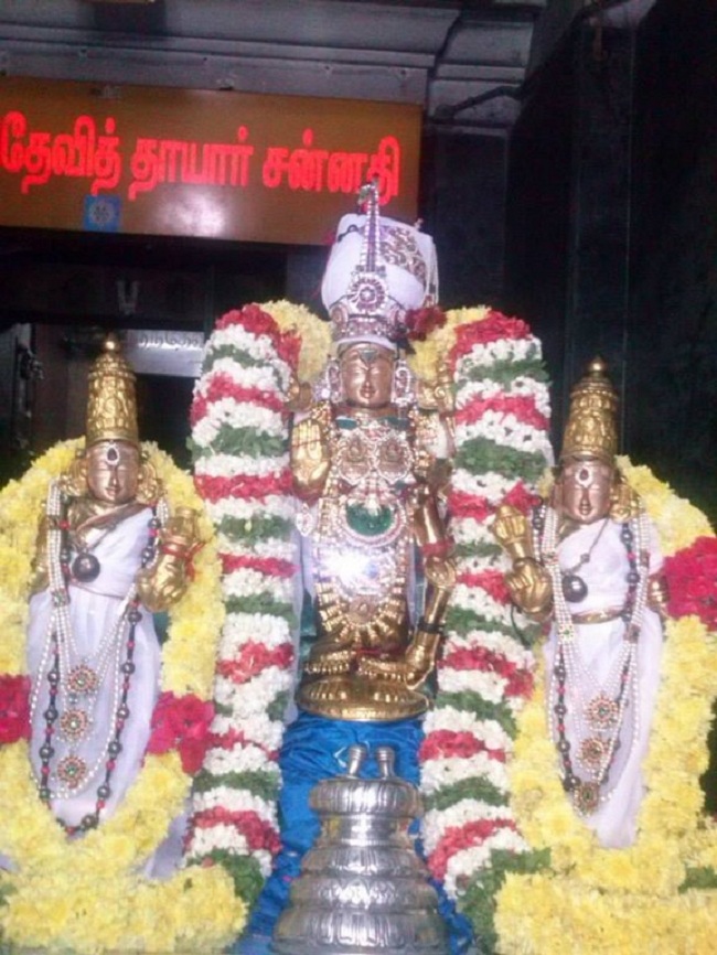 Aminjikarai Sri Prasanna Varadaraja Perumal Temple Navarathiri Utsavam9