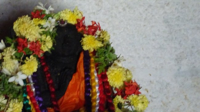 Aradhana Mahotsavam Of 41st Srimadh Azhagiasingar at SriRangam day 1 2014  08