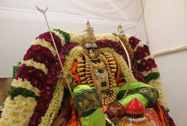 Australia Helensburg Sri Venkatesware Temple Brahmotsavam day 6 2014  09