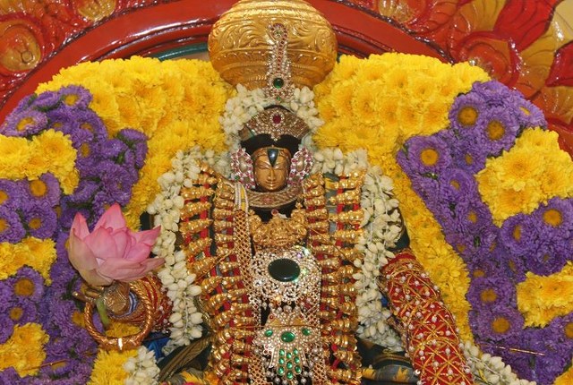 Australia Helensburg Sri Venkatesware Temple Brahmotsavam day 7 2014  04