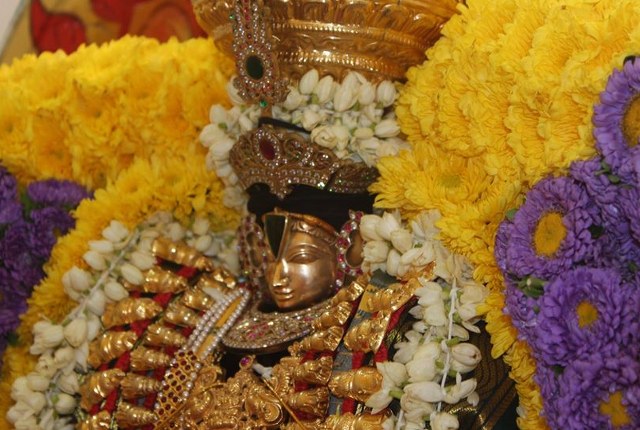 Australia Helensburg Sri Venkatesware Temple Brahmotsavam day 7 2014  05