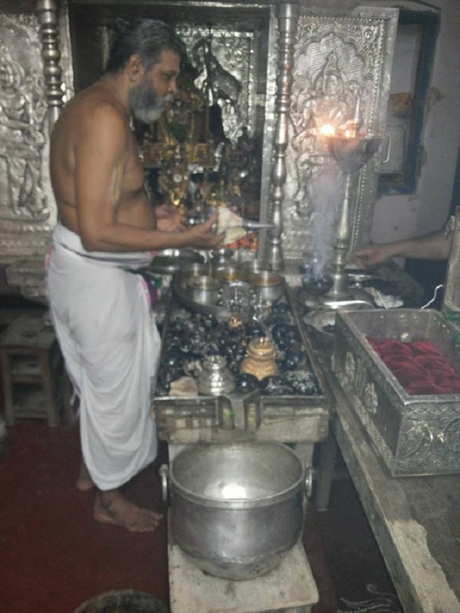 Dwadasi and Pradosha Aaradhanam At Naimisaranyam Sri Ahobila Mutt11