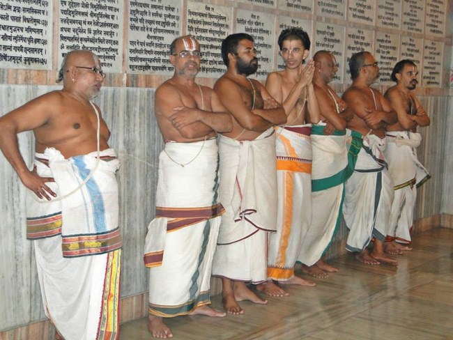 Fanaswadi Sri Balaji Temple Brahmotsavam12