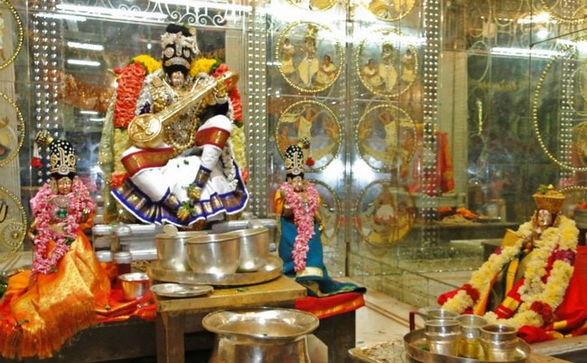 Fanaswadi Sri Balaji Temple Brahmotsavam14