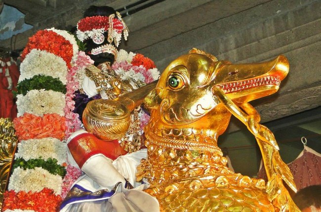 Fanaswadi Sri Balaji Temple Brahmotsavam15