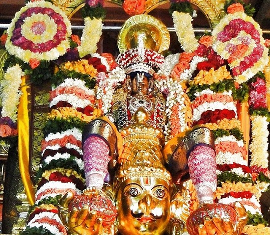 Fanaswadi Sri Balaji Temple Brahmotsavam19