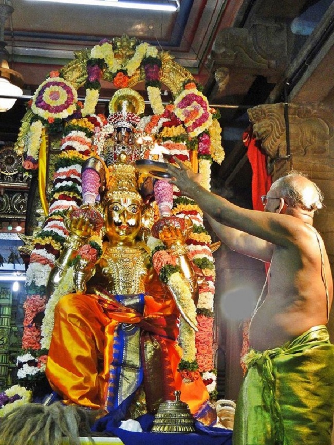 Fanaswadi Sri Balaji Temple Brahmotsavam31