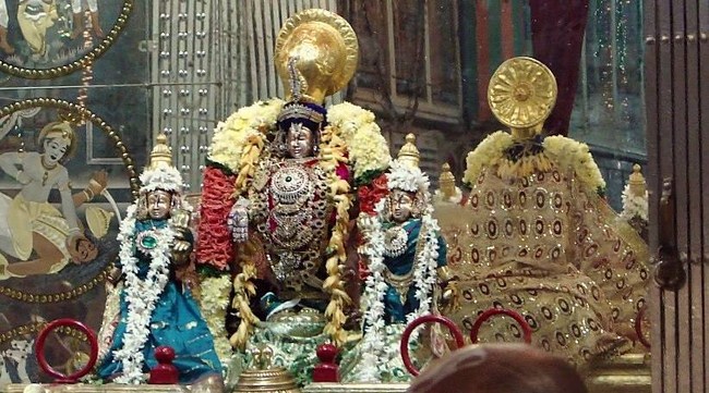 Fanaswadi Sri Balaji Temple Brahmotsavam34