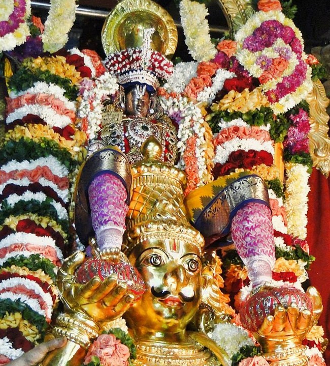 Fanaswadi Sri Balaji Temple Brahmotsavam4