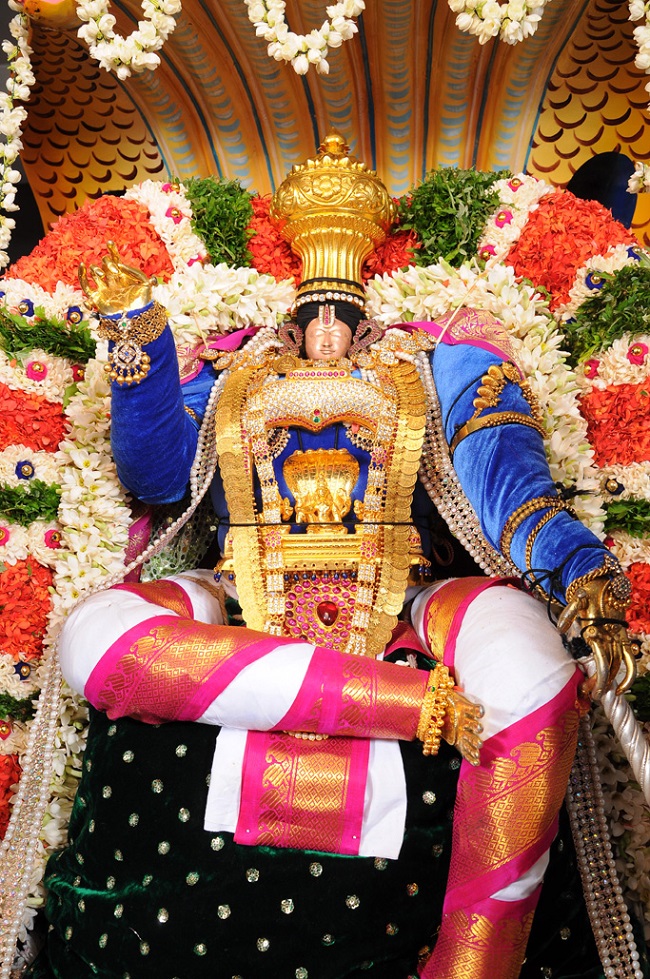Gunaseelam Sri Prasanna Venkatachalapathy Temple Brahmotsavam Sesha vahanam 2014 5