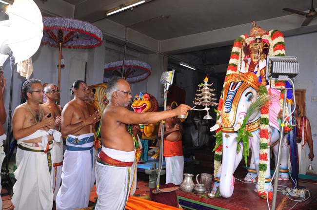 Gunaseelam Sri Venkatachalapathy Temple Brahmotsavam Gaja Vahanam 2014--00