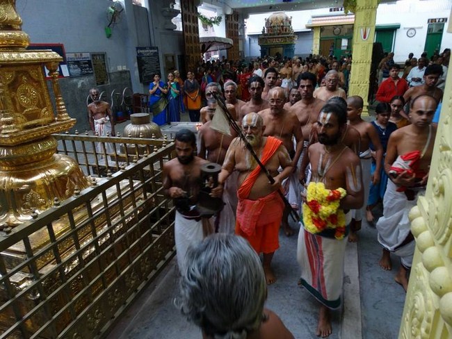 HH Srimushnam Andavan Mangalasasanam At Mylapore SVDD Srinivasa Perumal Temple 39