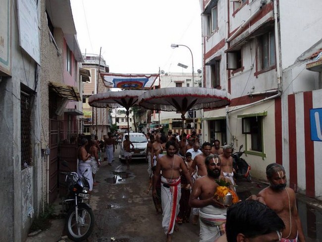HH Srimushnam Andavan Mangalasasanam At Mylapore SVDD Srinivasa Perumal Temple 59