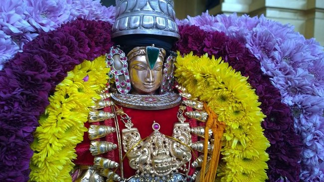 Helsenburg Sri venkateswara perumal Temple Brahmotsavam day 1  2014 01