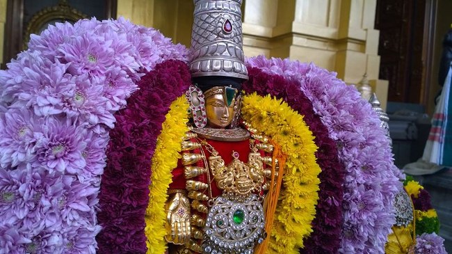 Helsenburg Sri venkateswara perumal Temple Brahmotsavam day 1  2014 10