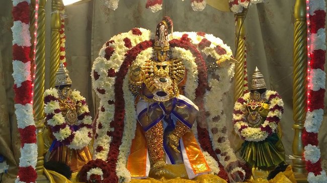 Helsenburg Sri venkateswara perumal Temple Brahmotsavam day 4  2014 2