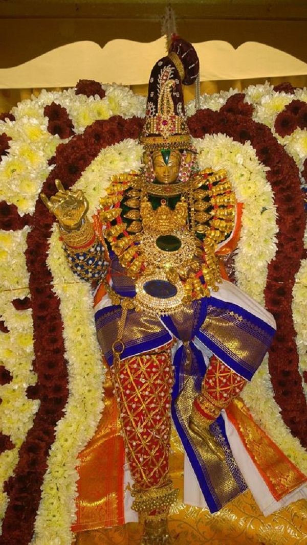 Helsenburg Sri venkateswara perumal Temple Brahmotsavam day 4  2014 5