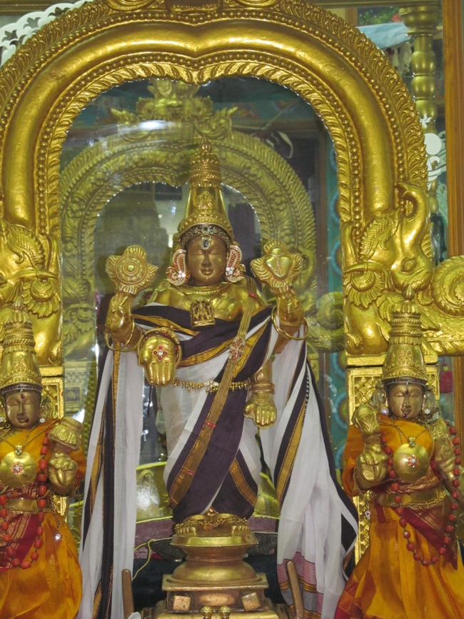 Mylapore SVDD Sri Srinivasa Perumal Temple Pavithrothsavam Angurarapanam  07-10-2014  
