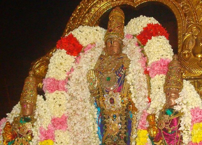 Kanchi Devaperumal Jaya Varusha Deepavali Purappadu 2014  32