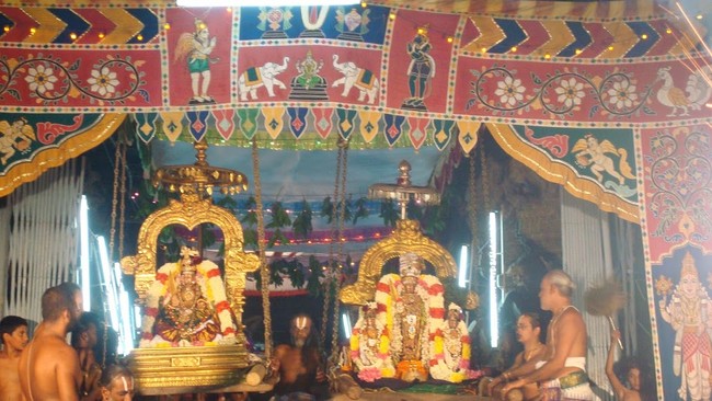 Kanchi Sri Perarulalan Mahanavami Utsavam Evening  14