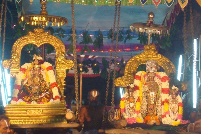 Kanchi Sri Perarulalan Mahanavami Utsavam Evening  15