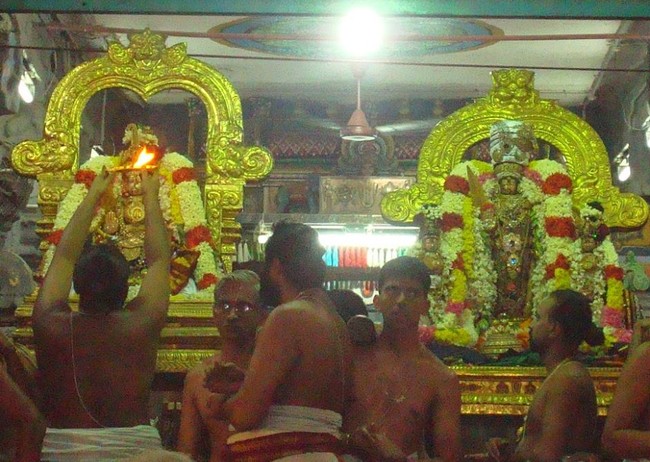 Kanchi Sri Perarulalan Mahanavami Utsavam Evening  34