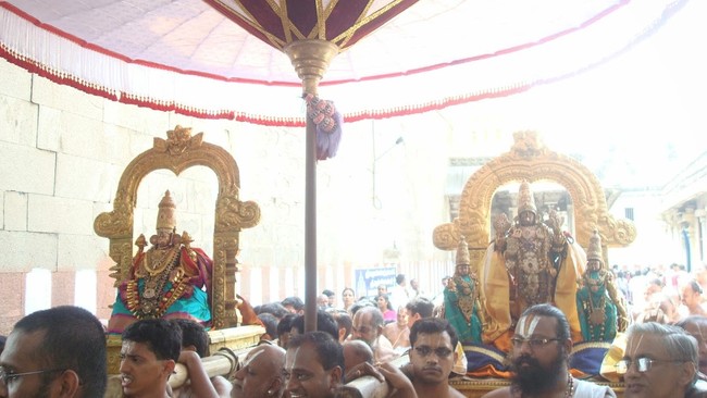 Kanchi Sri Perarulalan Mahanavami Utsavam morning  12