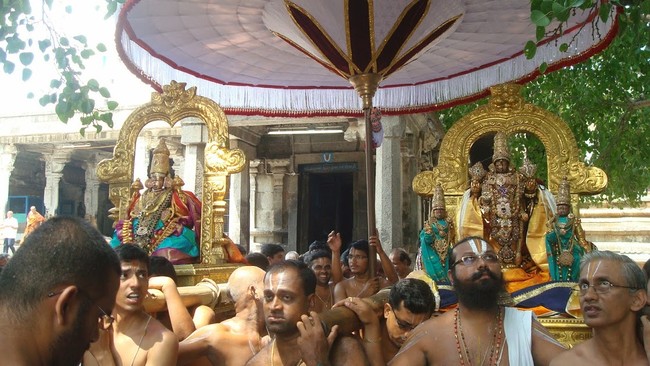 Kanchi Sri Perarulalan Mahanavami Utsavam morning  13