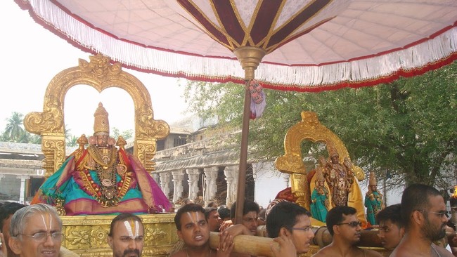Kanchi Sri Perarulalan Mahanavami Utsavam morning  17