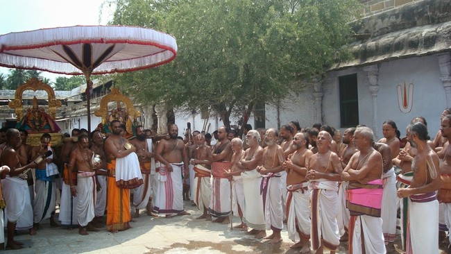 Kanchi Sri Perarulalan Mahanavami Utsavam morning  20