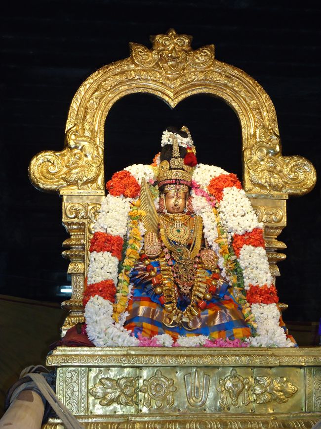 Kanchi Sri Perundhevi Thayar Navarathri Utsavam day 7 2014 20