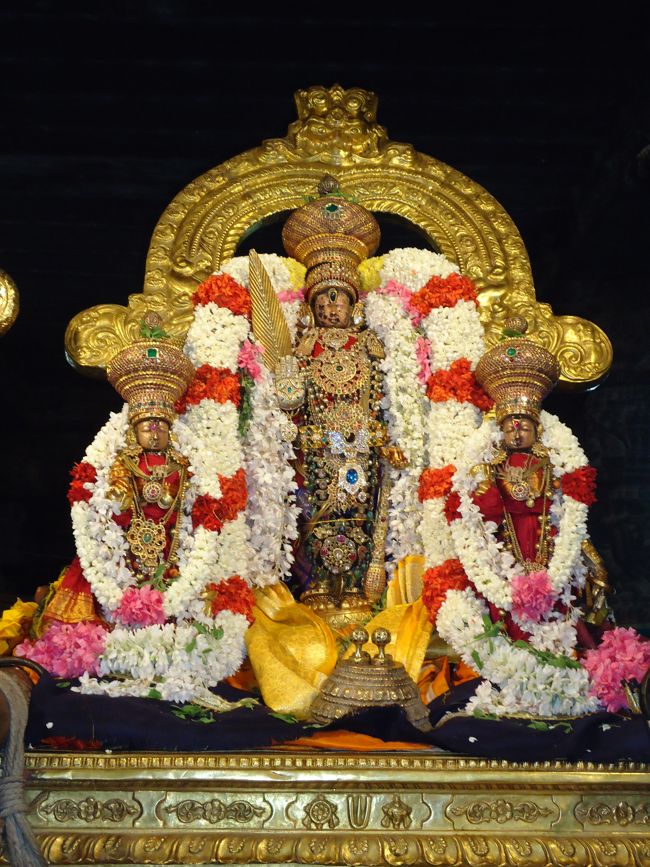 Kanchi Sri Perundhevi Thayar Navarathri Utsavam day 7 2014 25