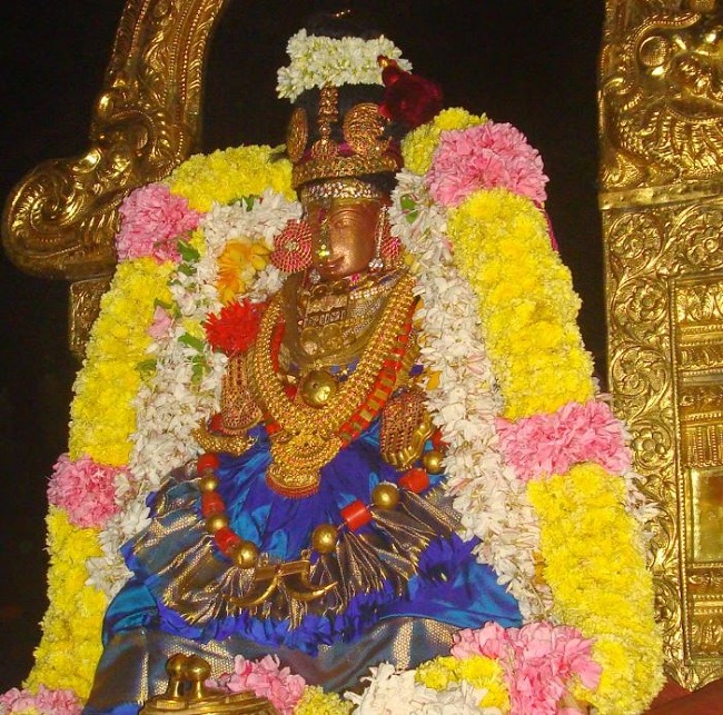 Kanchi Sri Perundhevi Thayar Thula Sukravara Purappadu 2014  04