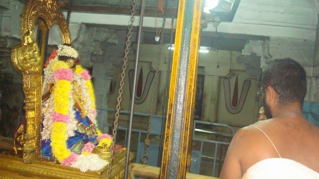 Kanchi Sri Perundhevi Thayar Thula Sukravara Purappadu 2014  18