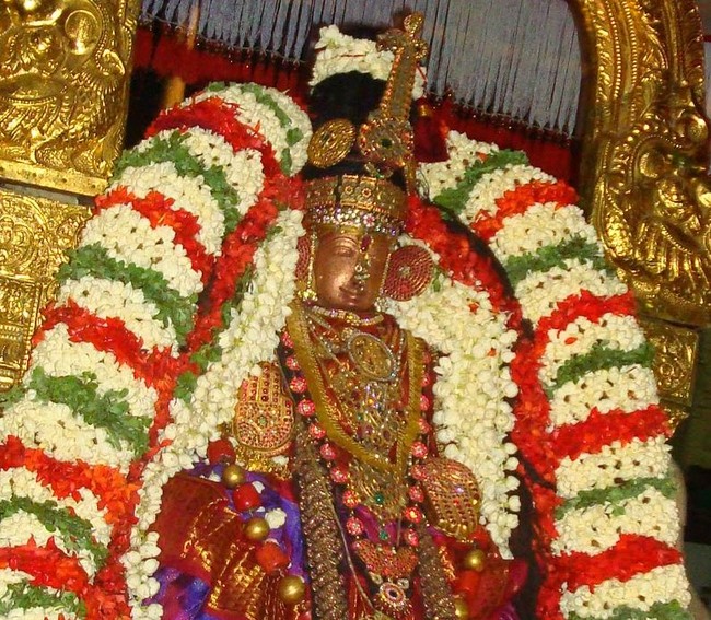 Kanchi Sri Varadaraja Perumal Temple Navarathri UTsavam day 5  2014 04