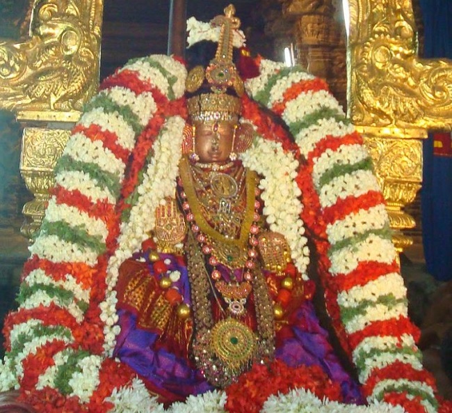 Kanchi Sri Varadaraja Perumal Temple Navarathri UTsavam day 5  2014 13