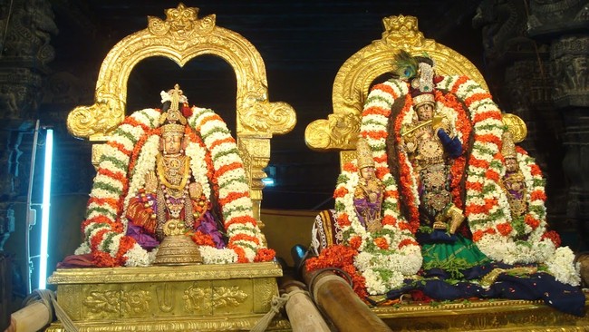 Kanchi Sri Varadaraja Perumal Temple Navarathri UTsavam day 5  2014 19