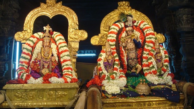 Kanchi Sri Varadaraja Perumal Temple Navarathri UTsavam day 5  2014 21