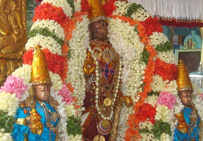 Kanchi Sri Varadarajaswami temple Jaya aippasi ammavasai purappadu 2014  01