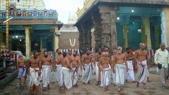 Kanchi Sri Varadarajaswami temple Jaya aippasi ammavasai purappadu 2014  07
