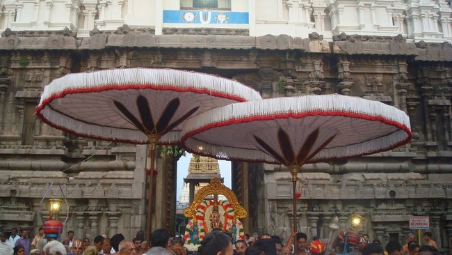 Kanchi Sri Varadarajaswami temple Jaya aippasi ammavasai purappadu 2014  11