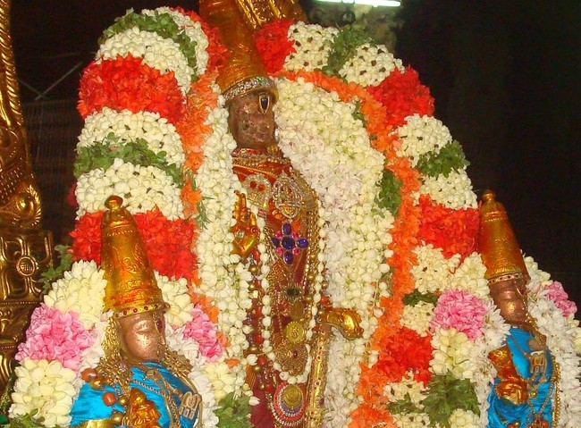 Kanchi Sri Varadarajaswami temple Jaya aippasi ammavasai purappadu 2014  22