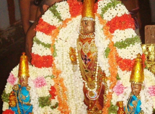 Kanchi Sri Varadarajaswami temple Jaya aippasi ammavasai purappadu 2014  29