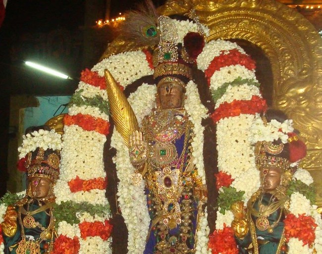 Kanchi sri perundhevi thayar Navarathri utsavam day 8 2014  13