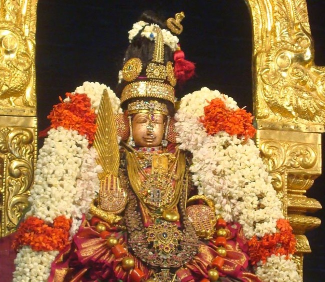 Kanchi sri perundhevi thayar Navarathri utsavam day 9 2014  11